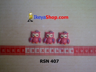 rsn 407  large2